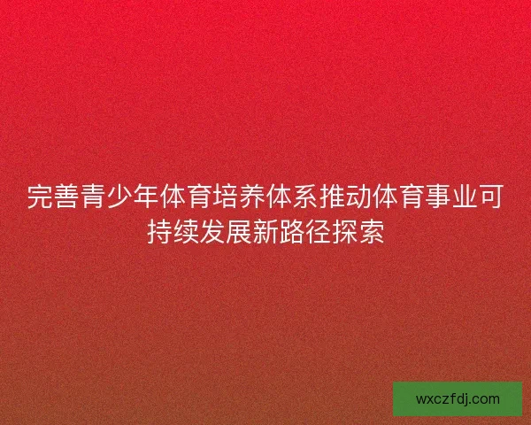 完善青少年体育培养体系推动体育事业可持续发展新路径探索