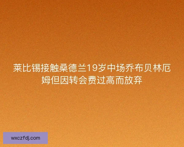 莱比锡接触桑德兰19岁中场乔布贝林厄姆但因转会费过高而放弃