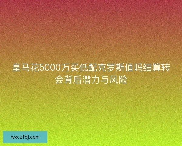 皇马花5000万买低配克罗斯值吗细算转会背后潜力与风险