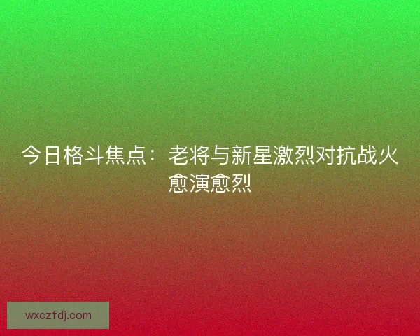 今日格斗焦点：老将与新星激烈对抗战火愈演愈烈